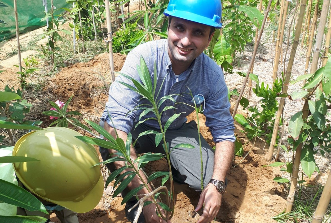 Tree planting activity