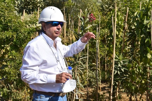 Kamal A. Chinoy briefing visitors at the Urban Forest in 2021